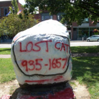 Lost Cat 2 8-12-12.jpg