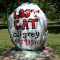 Lost Cat 3 8-12-12.jpg