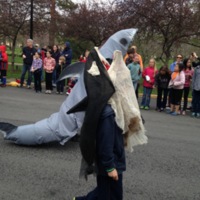 Sharks and whale Big Parade.jpg