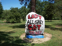 2012-8-12, Oberlin Rock, Lost Cat