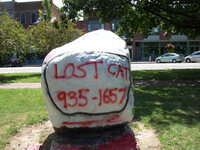 Lost Cat 2 8-12-12.jpg