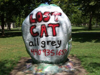 Lost Cat 3 8-12-12.jpg