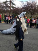 Shark and Whale, Big Parade 2014